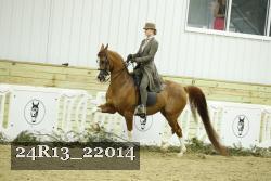 24R13_22014 thumbnail