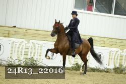 24R13_22016 thumbnail
