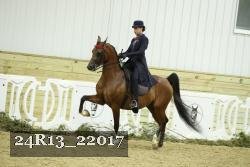 24R13_22017 thumbnail