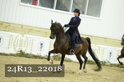 24R13_22018 thumbnail