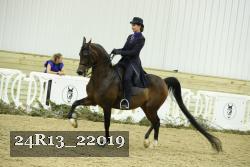 24R13_22019 thumbnail