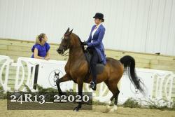 24R13_22020 thumbnail