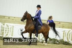 24R13_22021 thumbnail