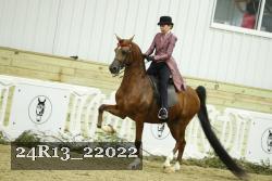 24R13_22022 thumbnail