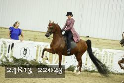 24R13_22023 thumbnail
