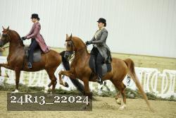 24R13_22024 thumbnail