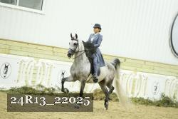 24R13_22025 thumbnail