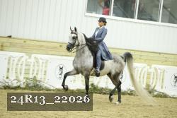 24R13_22026 thumbnail