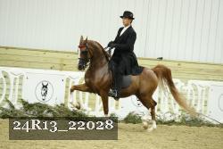 24R13_22028 thumbnail