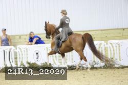24R13_22029 thumbnail