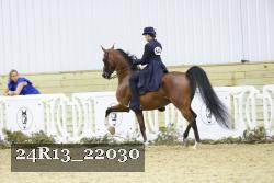 24R13_22030 thumbnail