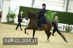 24R13_22031 thumbnail