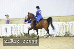 24R13_22033 thumbnail