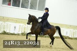 24R13_22034 thumbnail