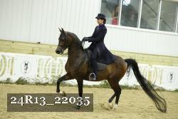 24R13_22035 thumbnail