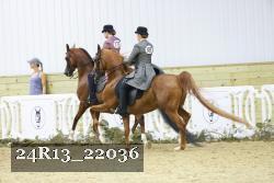 24R13_22036 thumbnail