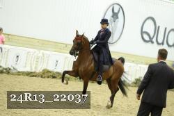 24R13_22037 thumbnail