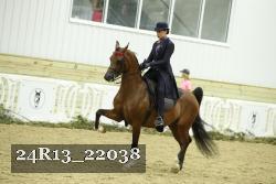 24R13_22038 thumbnail