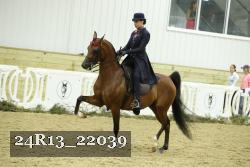 24R13_22039 thumbnail