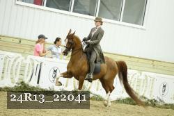 24R13_22041 thumbnail
