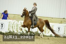 24R13_22042 thumbnail