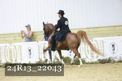 24R13_22043 thumbnail