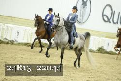 24R13_22044 thumbnail