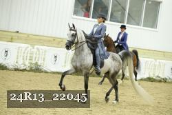 24R13_22045 thumbnail