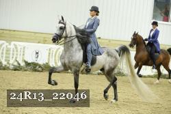24R13_22046 thumbnail