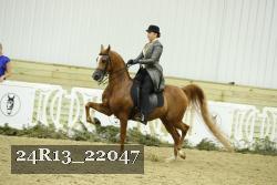 24R13_22047 thumbnail