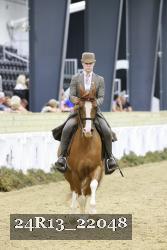 24R13_22048 thumbnail