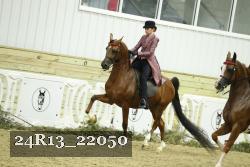 24R13_22050 thumbnail