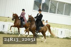 24R13_22051 thumbnail