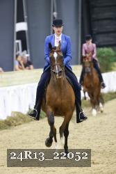 24R13_22052 thumbnail