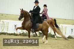 24R13_22054 thumbnail