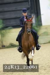 24R13_22061 thumbnail
