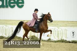 24R13_22066 thumbnail
