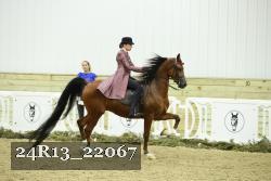24R13_22067 thumbnail