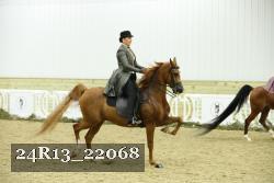 24R13_22068 thumbnail