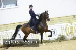 24R13_22071 thumbnail