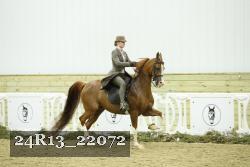 24R13_22072 thumbnail