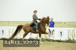 24R13_22073 thumbnail