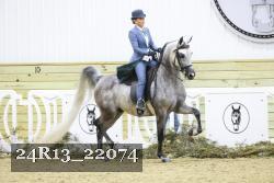 24R13_22074 thumbnail