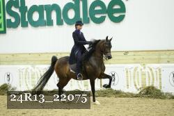 24R13_22075 thumbnail