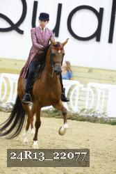 24R13_22077 thumbnail