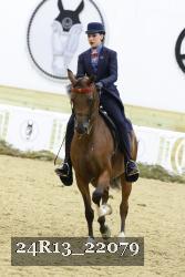 24R13_22079 thumbnail