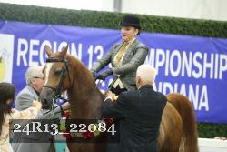 24R13_22084 thumbnail