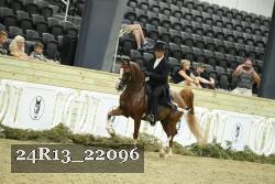 24R13_22096 thumbnail