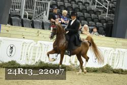 24R13_22097 thumbnail