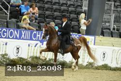 24R13_22098 thumbnail